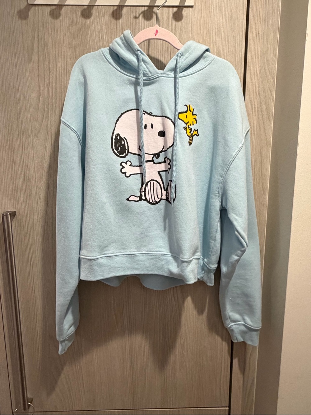 Light Blue Peanuts Snoopy & Woodstock Graphic Hoodie Size S